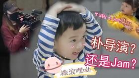 忍者鲨鱼